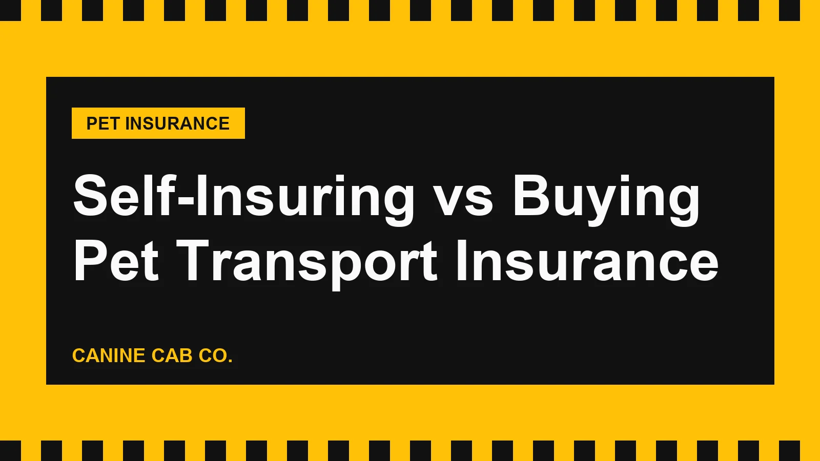 Self-Insuring vs Buying Pet Transport Insurance