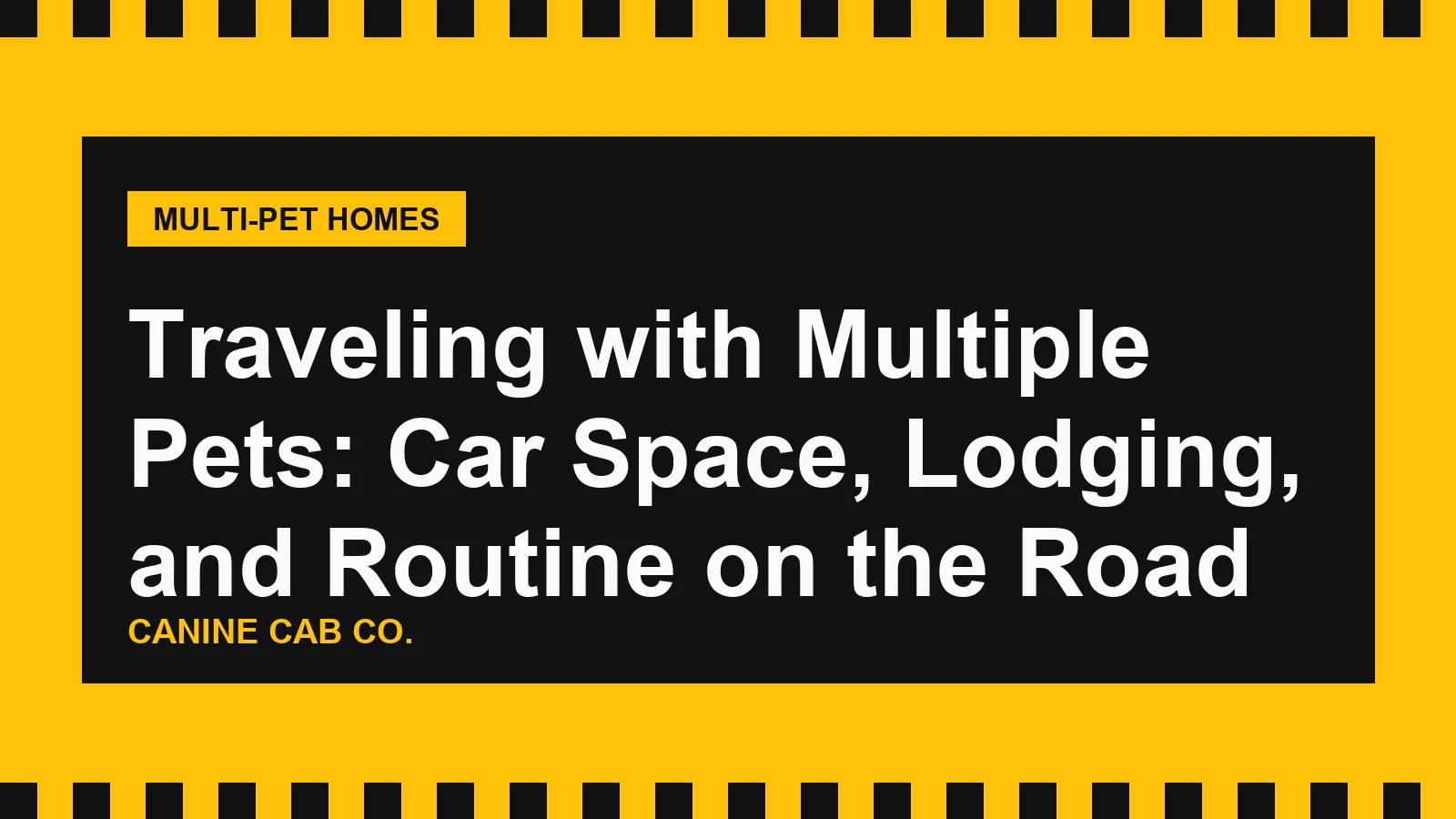 Traveling with Multiple Pets: Car Space, Lodging, and Routine on the Road