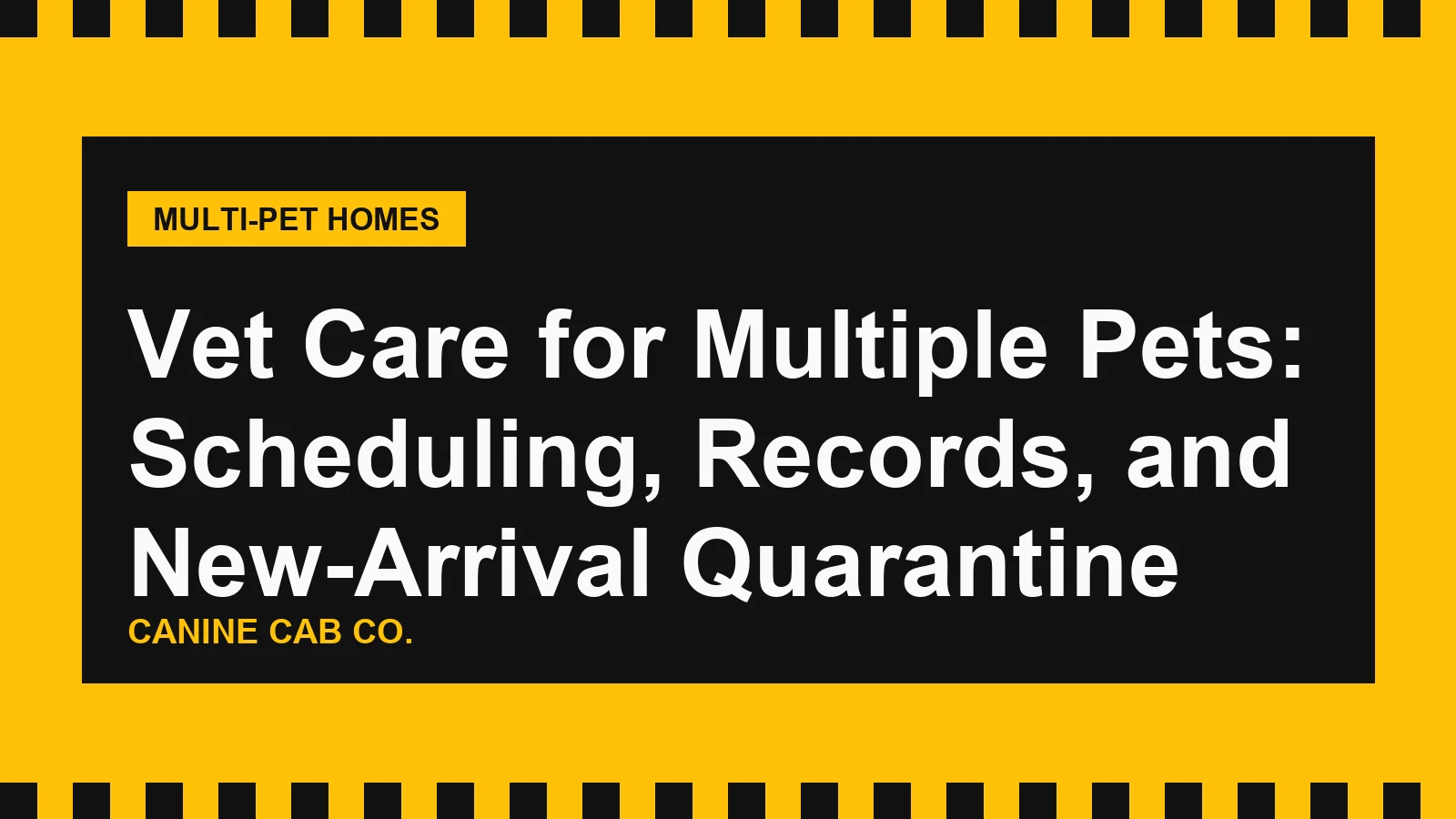 Vet Care for Multiple Pets: Scheduling, Records, and New-Arrival Quarantine