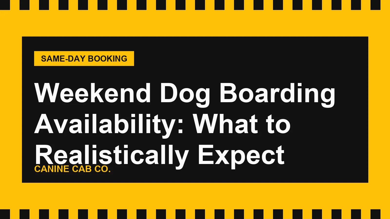 Weekend Dog Boarding Availability: What to Realistically Expect