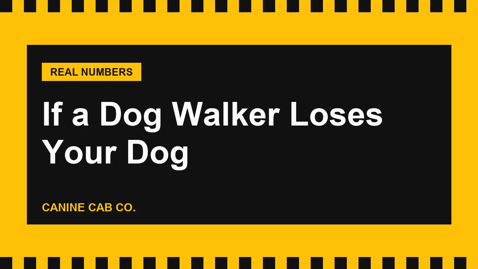 What Happens If a Dog Walker Loses Your Dog