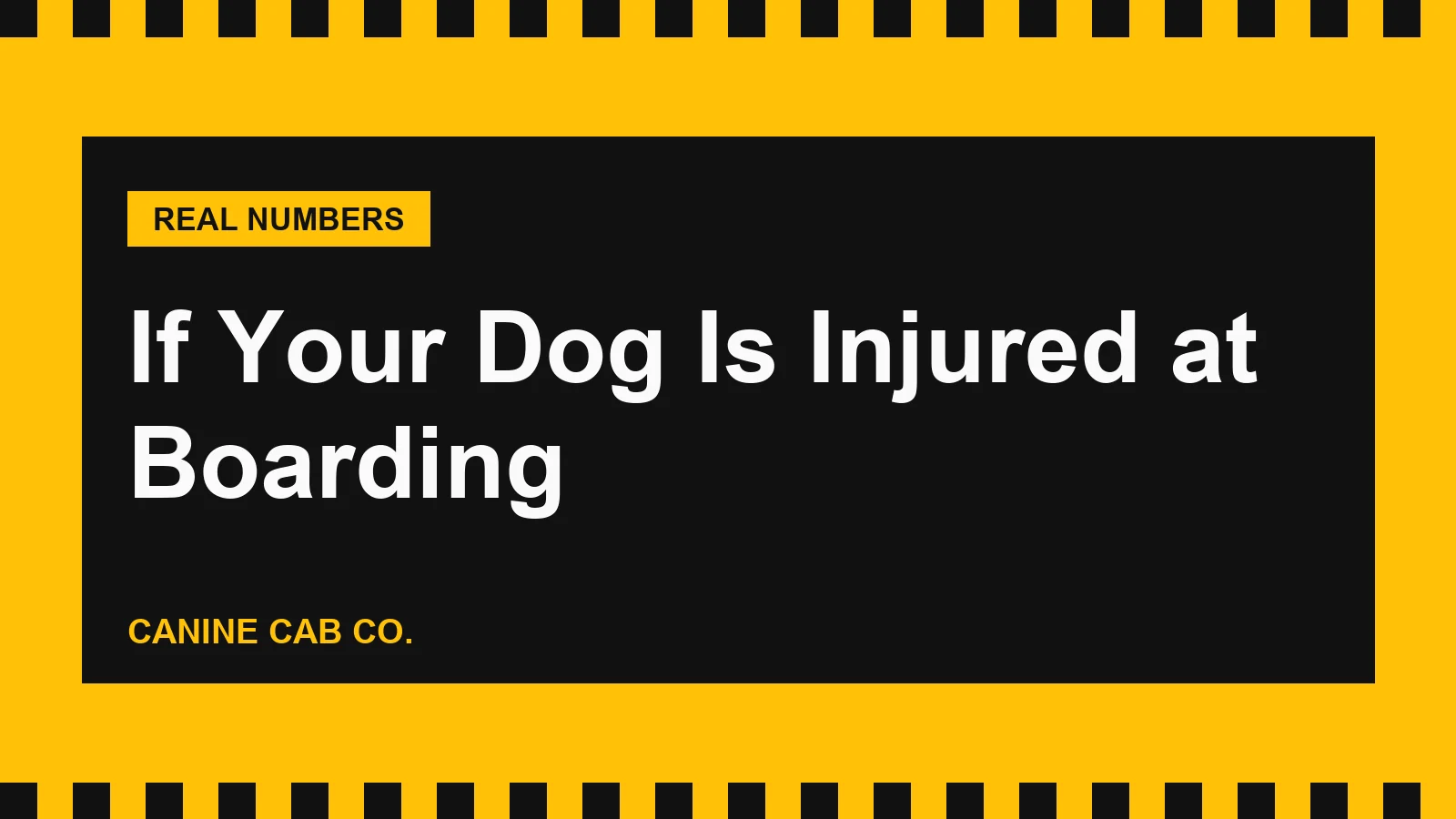 What Happens If Your Dog Is Injured at Boarding