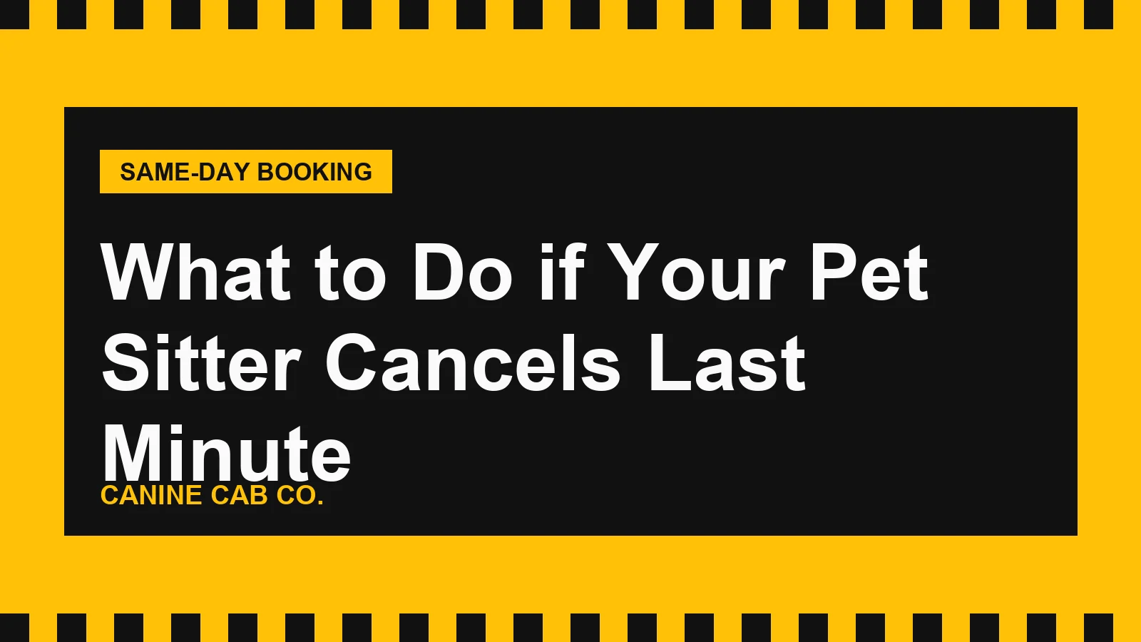 What to Do if Your Pet Sitter Cancels Last Minute