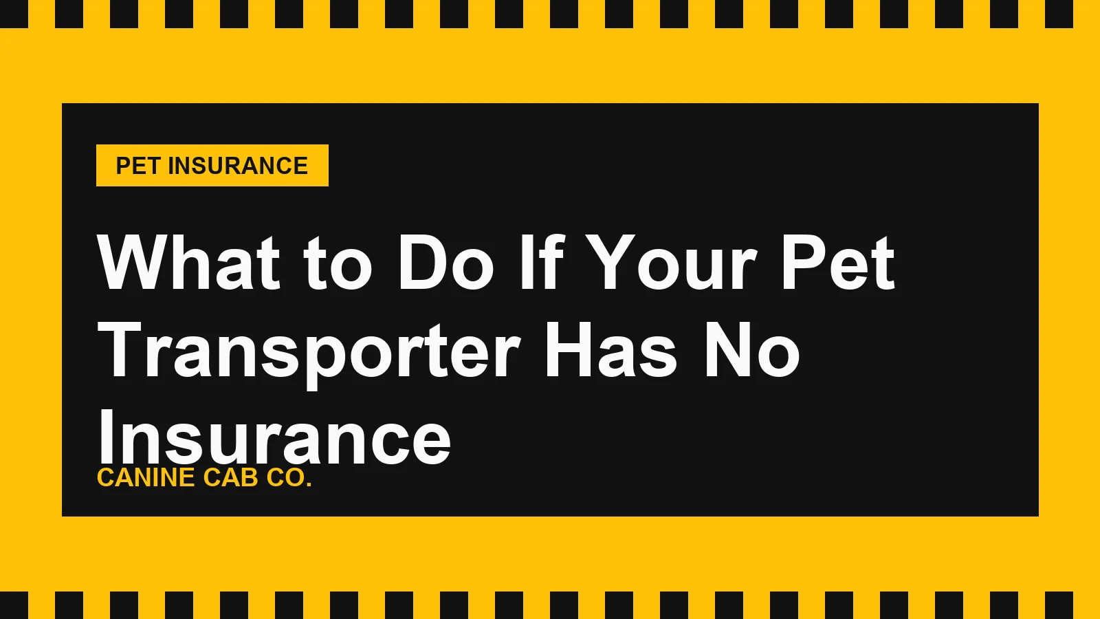 What to Do If Your Pet Transporter Has No Insurance