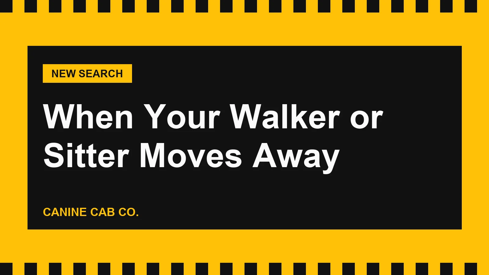 What to Do When Your Dog Walker or Sitter Moves Away
