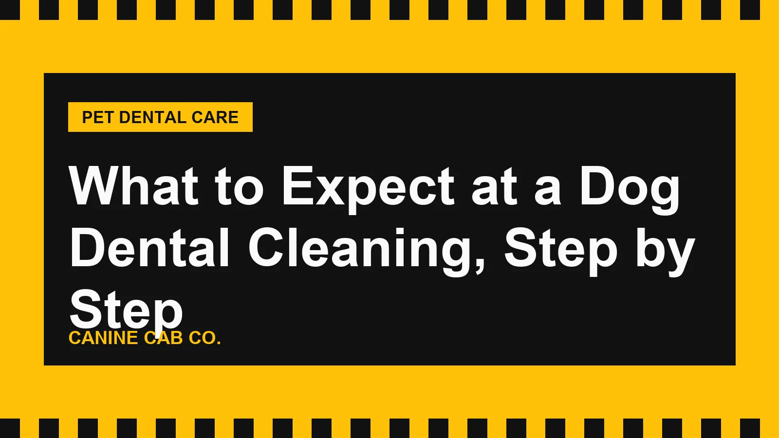 What to Expect at a Dog Dental Cleaning, Step by Step