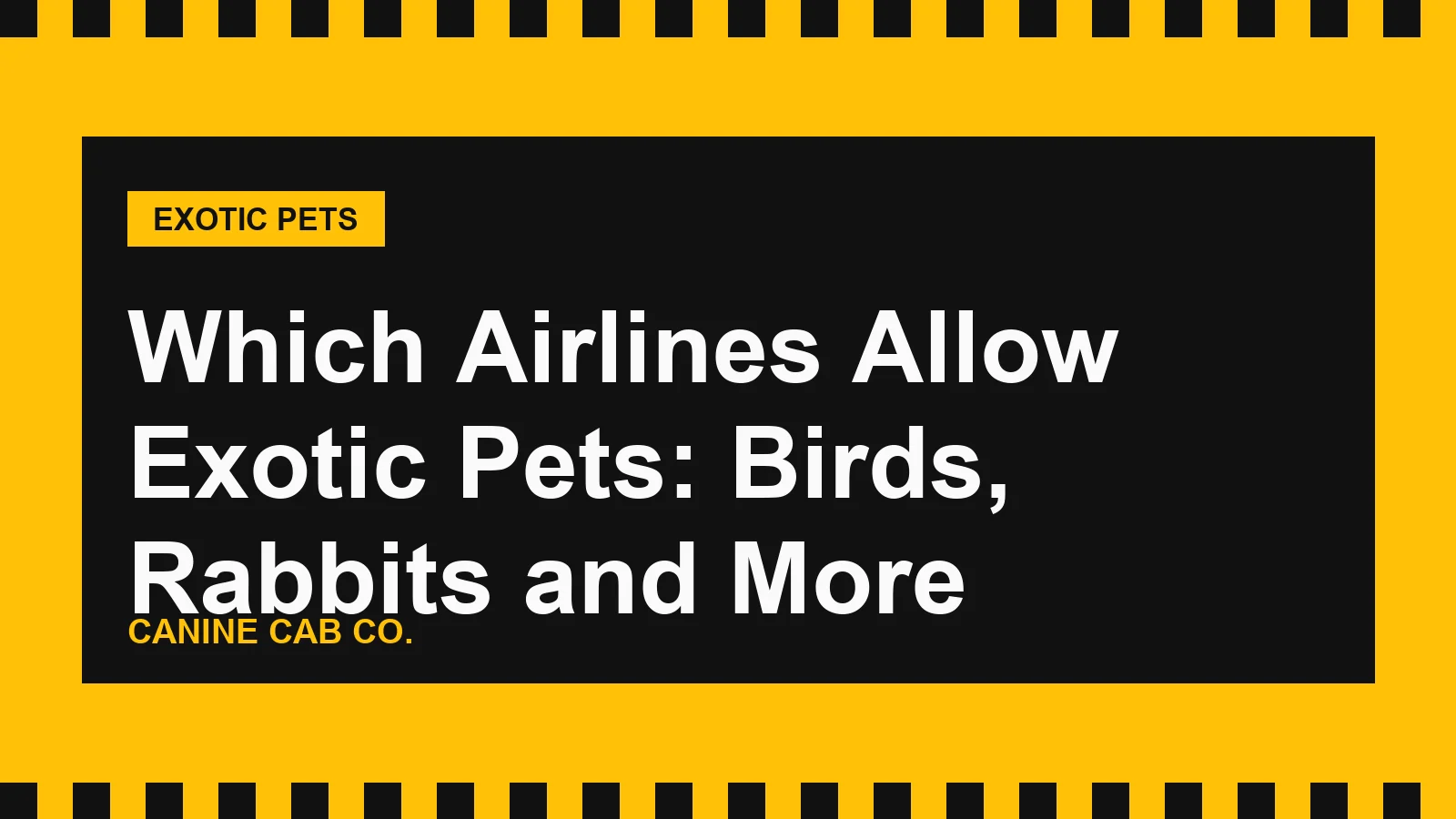 Which Airlines Allow Exotic Pets: Birds, Rabbits and More