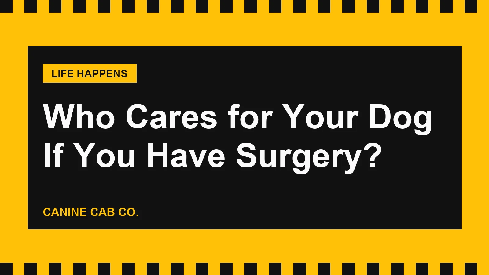 Who Will Care for Your Dog If You Have Surgery?