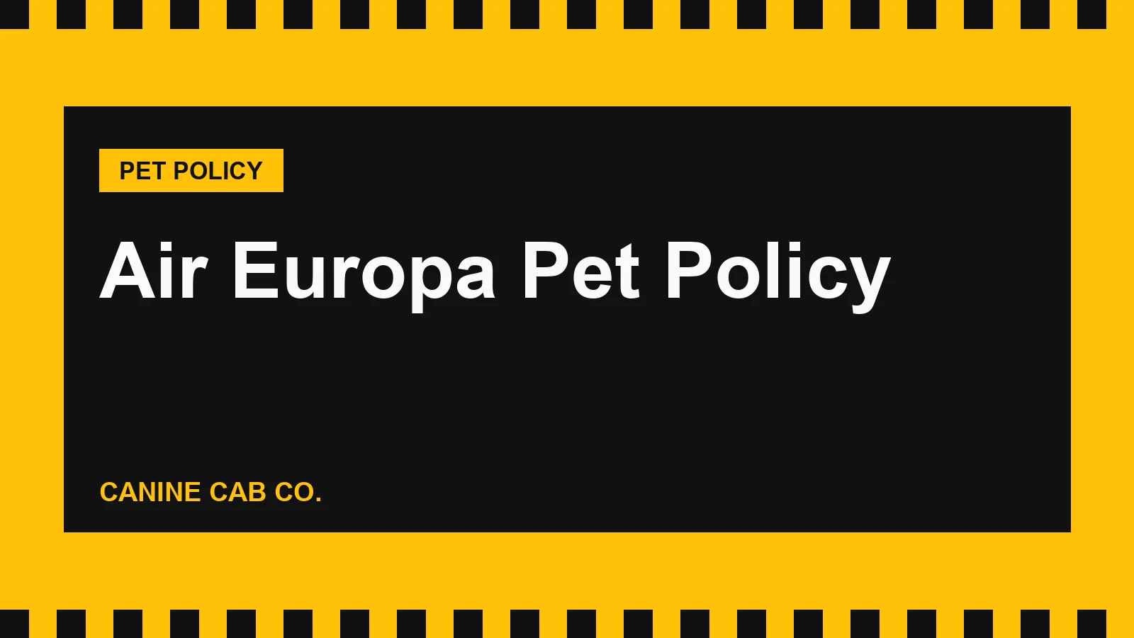 Air Europa Pet Policy: Cabin, Hold, Fees and the Madrid Connection (2026)