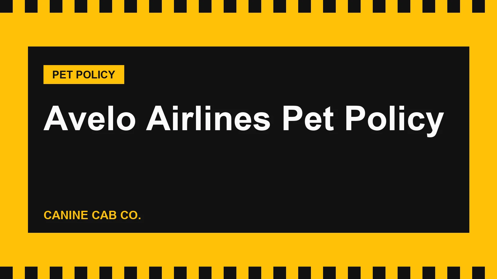 Avelo Airlines Pet Policy: Fees, Carrier Size and What Can Fly in the Cabin