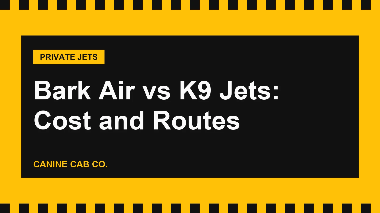 Bark Air vs K9 Jets: Cost, Routes and How Flying a Dog by Private Jet Works (2026)