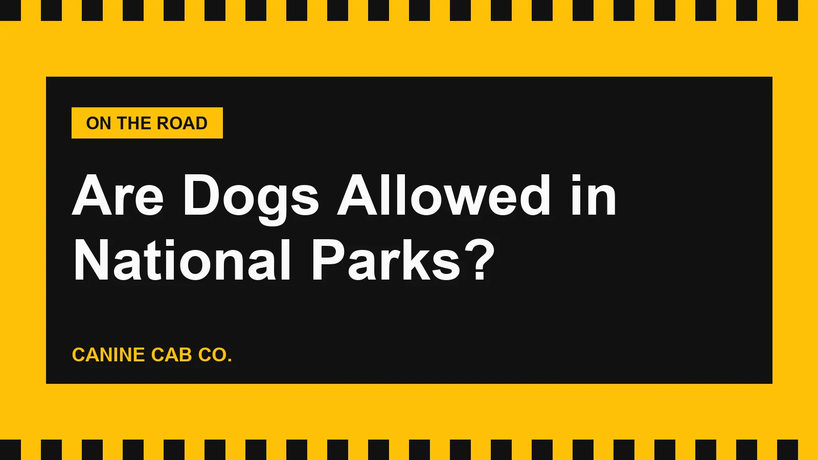Are Dogs Allowed in National Parks? The Rules and the Most Dog-Friendly Parks