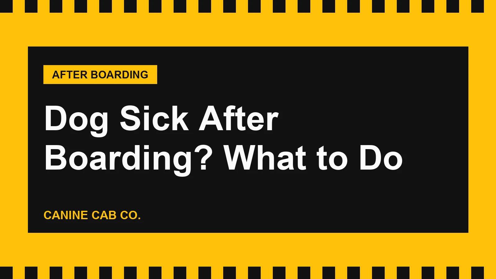 Dog Sick After Boarding? Diarrhea, Vomiting and When to Call the Vet