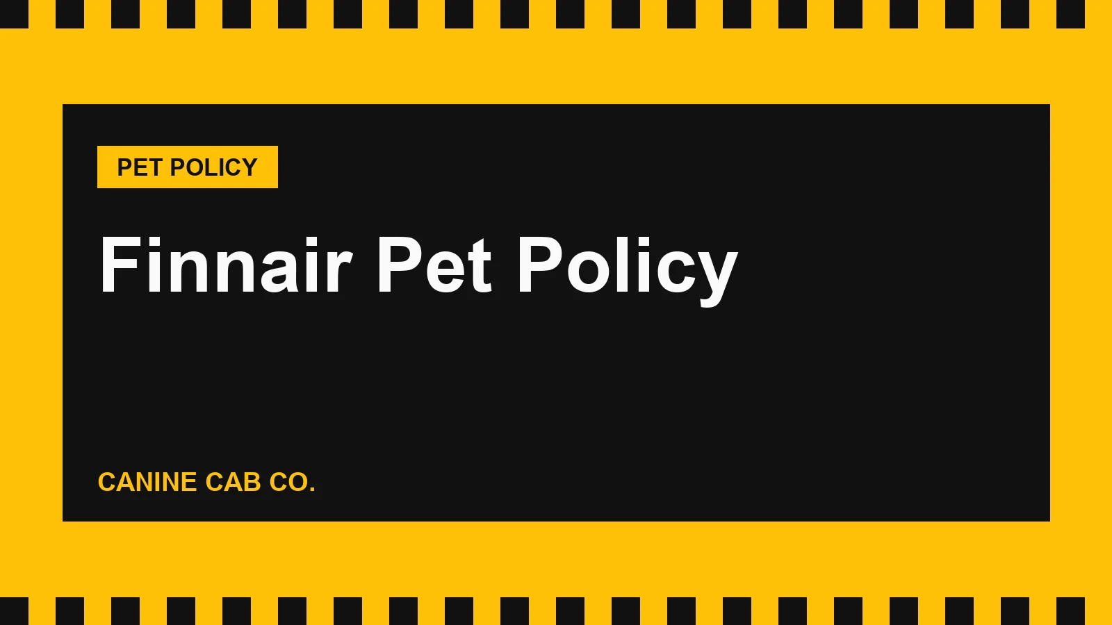 Finnair Pet Policy: Cabin, Hold, Fees and the Helsinki Transfer Rule (2026)