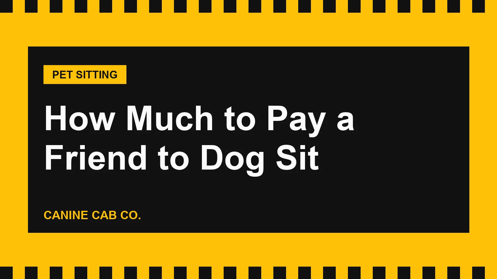 How Much to Pay a Friend to Dog Sit (Per Day, Overnight and For a Week)