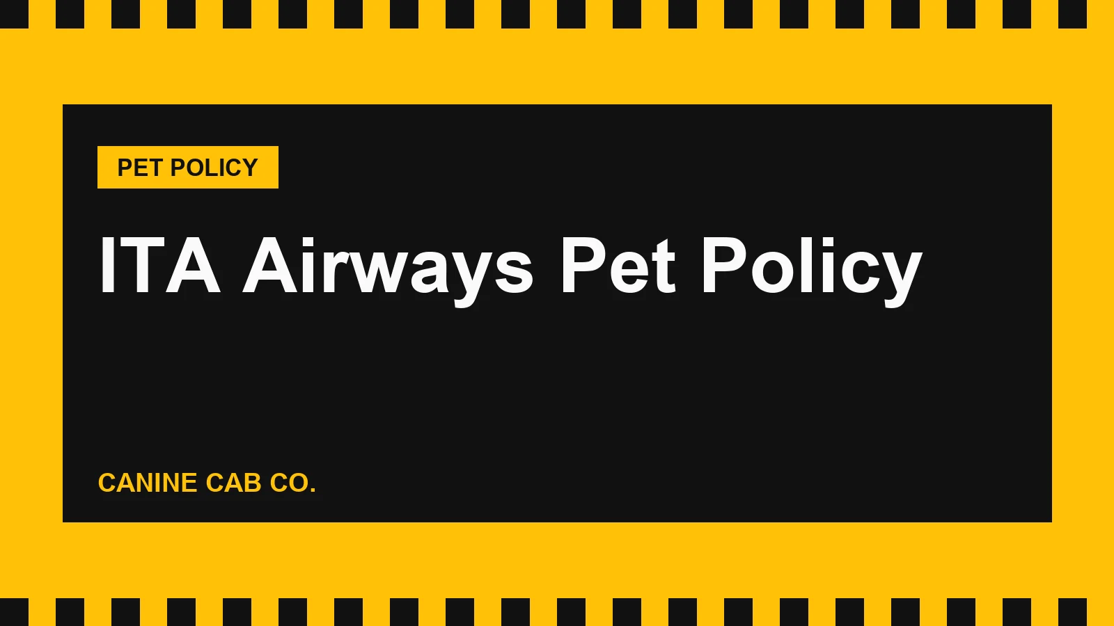 ITA Airways Pet Policy: Cabin, Hold, Fees and Breed Rules (2026)