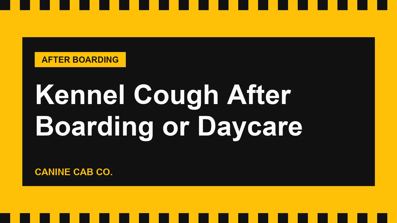 Kennel Cough After Boarding or Daycare: How Long It Is Contagious and When Your Dog Can Go Back