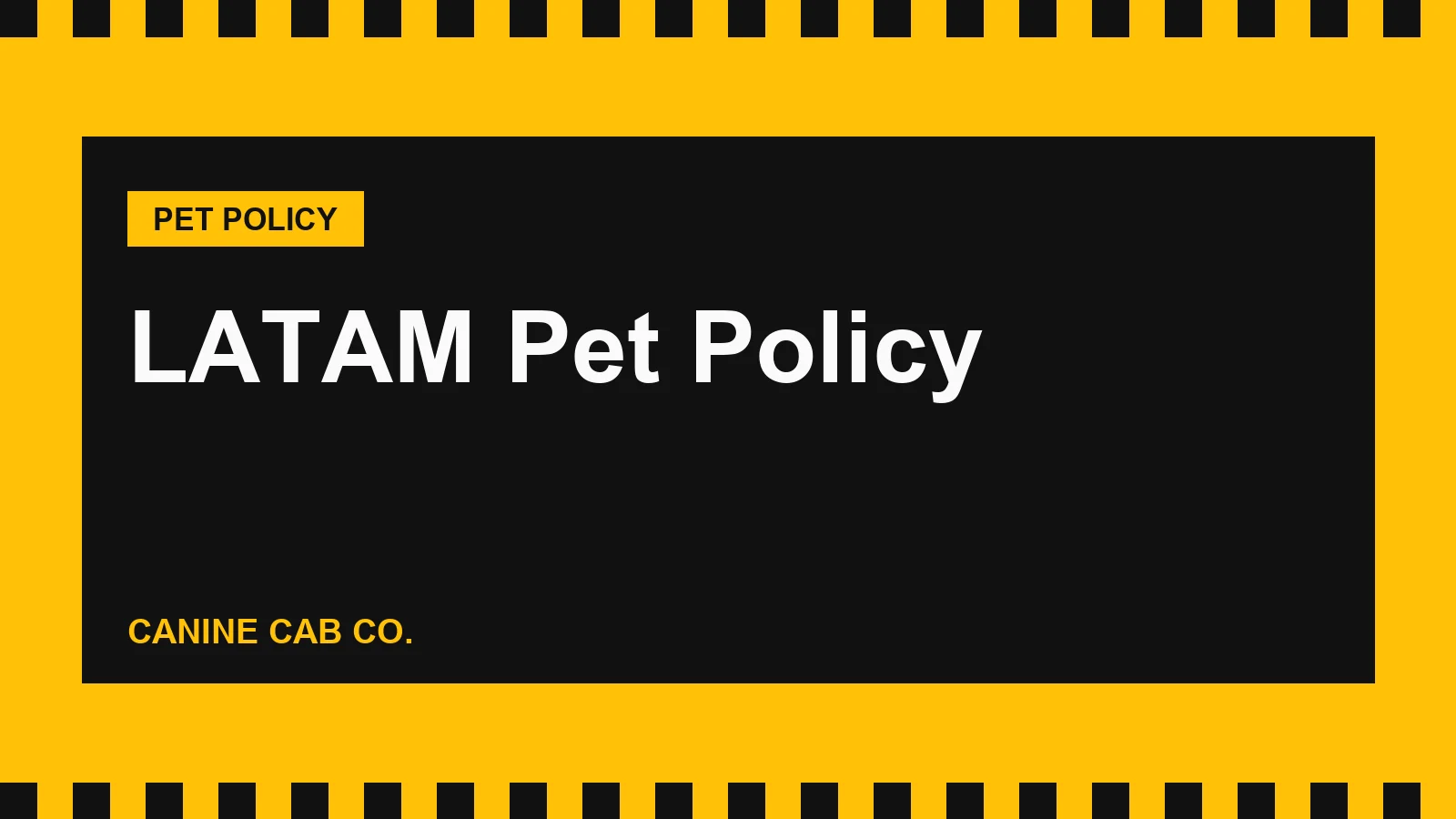 LATAM Pet Policy: Cabin, Hold, Fees and US Flight Rules (2026)