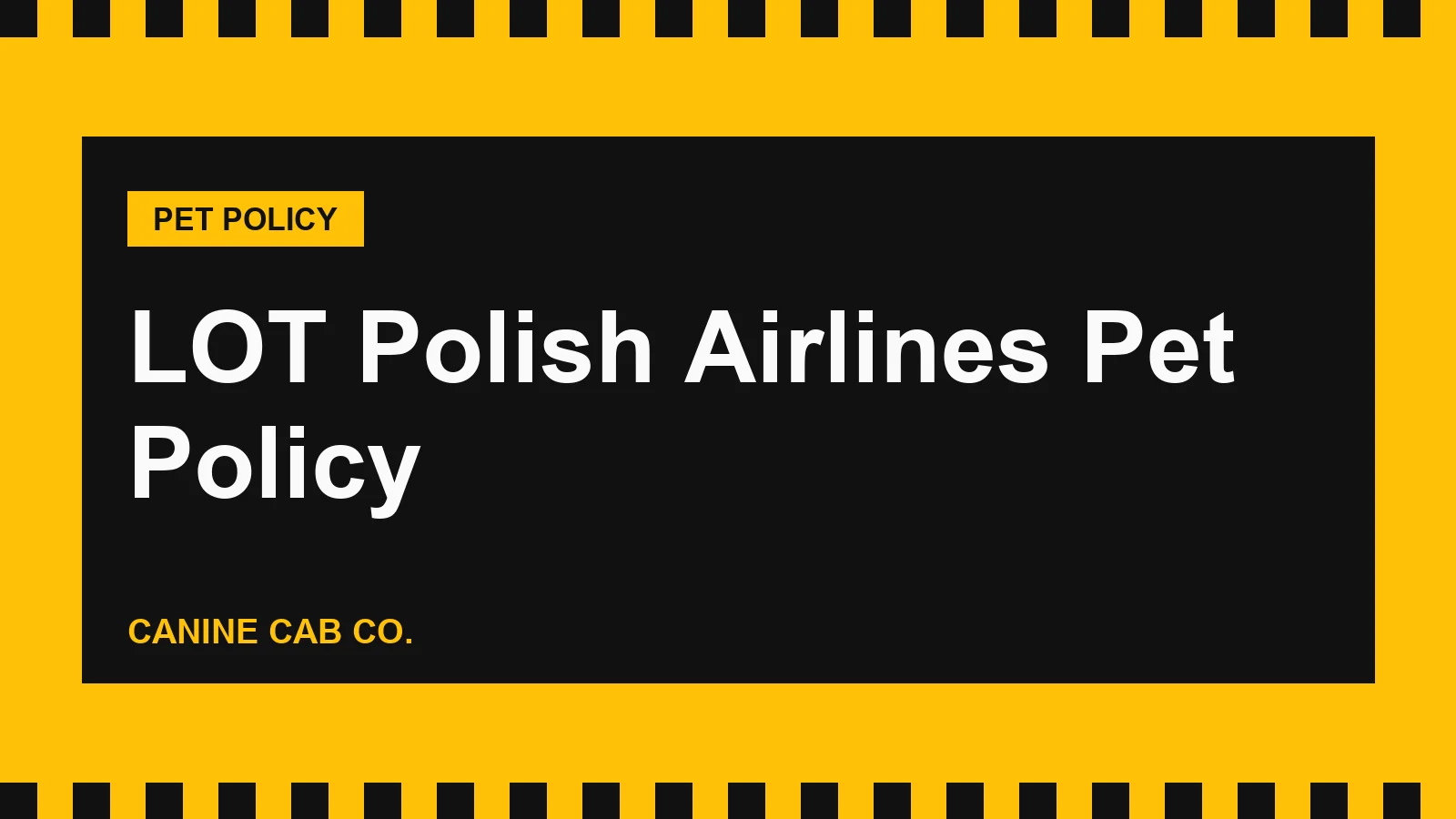 LOT Polish Airlines Pet Policy: Cabin, Hold and Dogs to the US (2026)