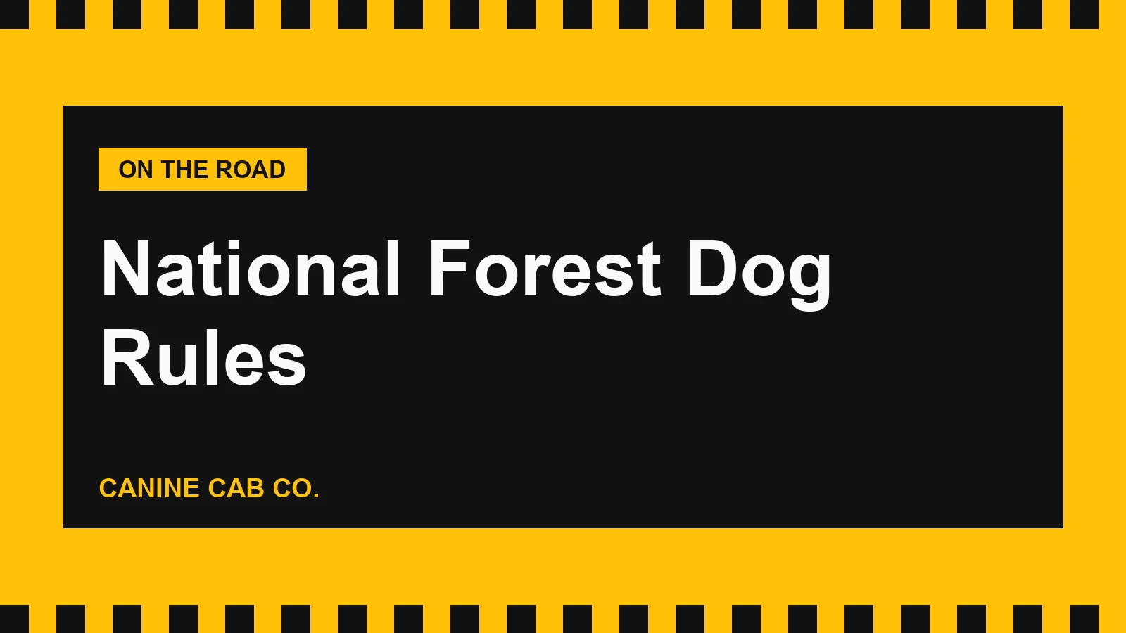 National Forest Dog Rules: Leash Laws, Wilderness and Campgrounds (2026)