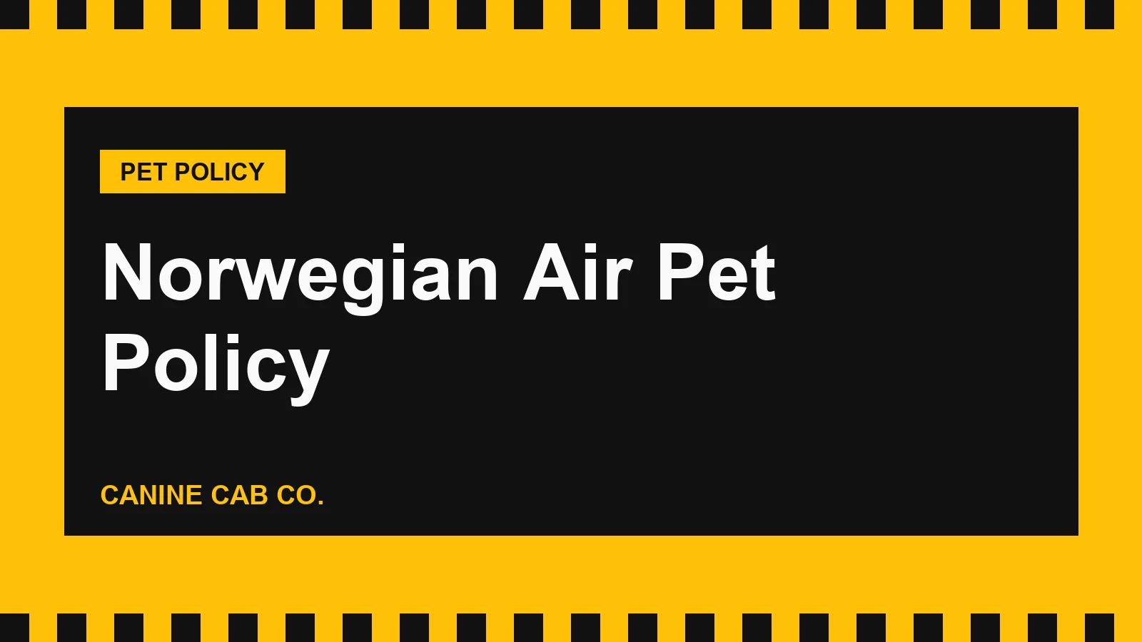 Norwegian Air Pet Policy: Cabin, Hold, Fees and Which Routes Allow Pets (2026)