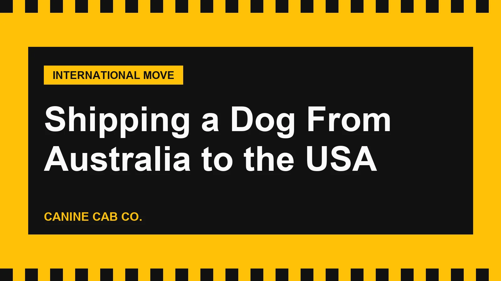 Shipping a Dog From Australia to the USA: Export Permit, CDC Rules, Hawaii and Costs