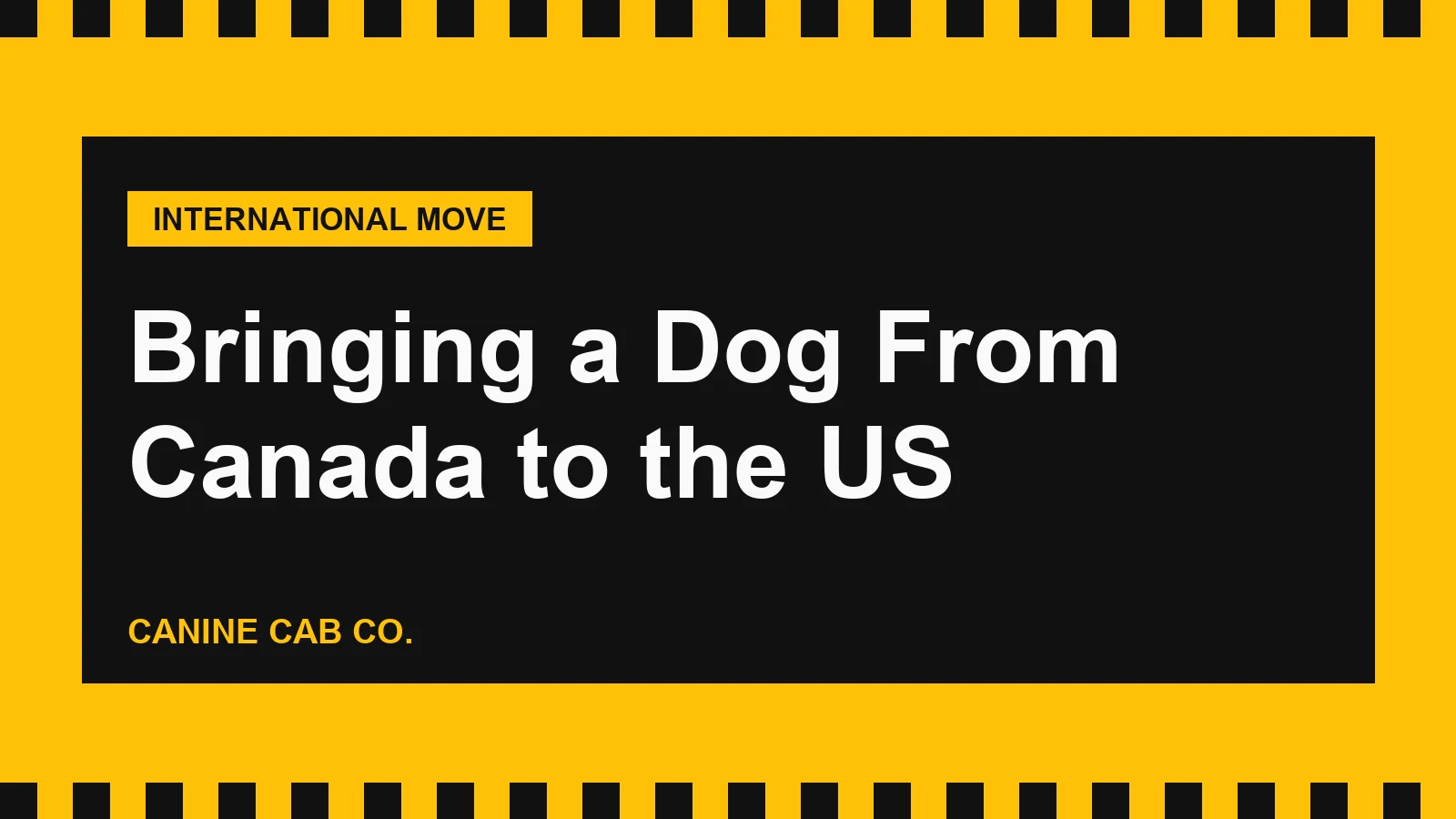 Bringing a Dog From Canada to the US: 2026 Requirements, Border Crossing and Common Traps