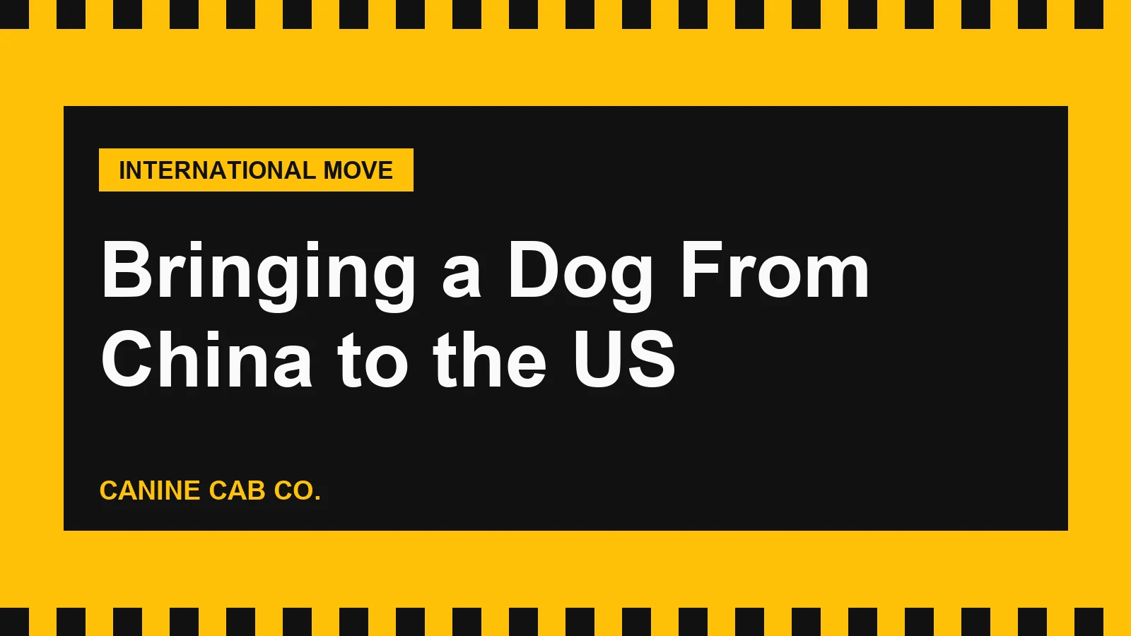 Bringing a Dog From China to the US: CDC High-Risk Rules, Titer Test and Arrival Airports