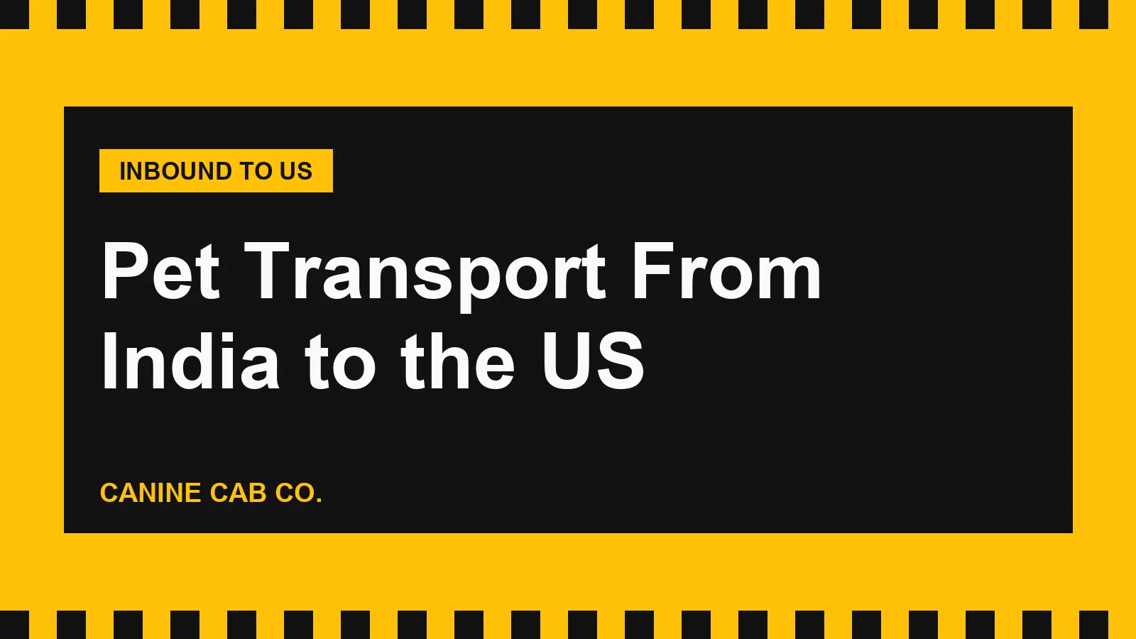 Pet Transport From India to the US: AQCS Export, CDC High-Risk Rules and Screwworm