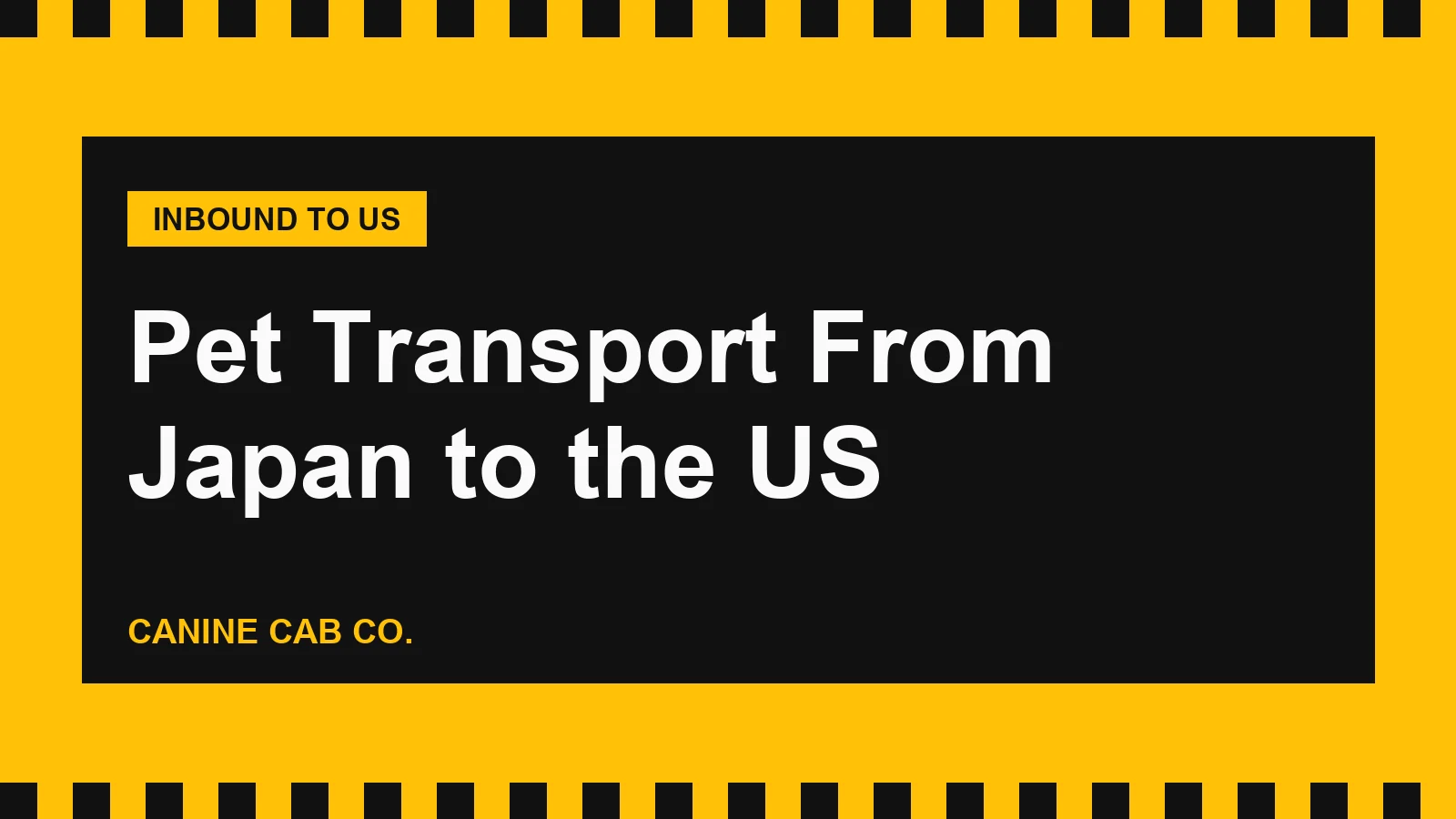 Pet Transport From Japan to the US: AQS Export Inspection, Airlines and Costs