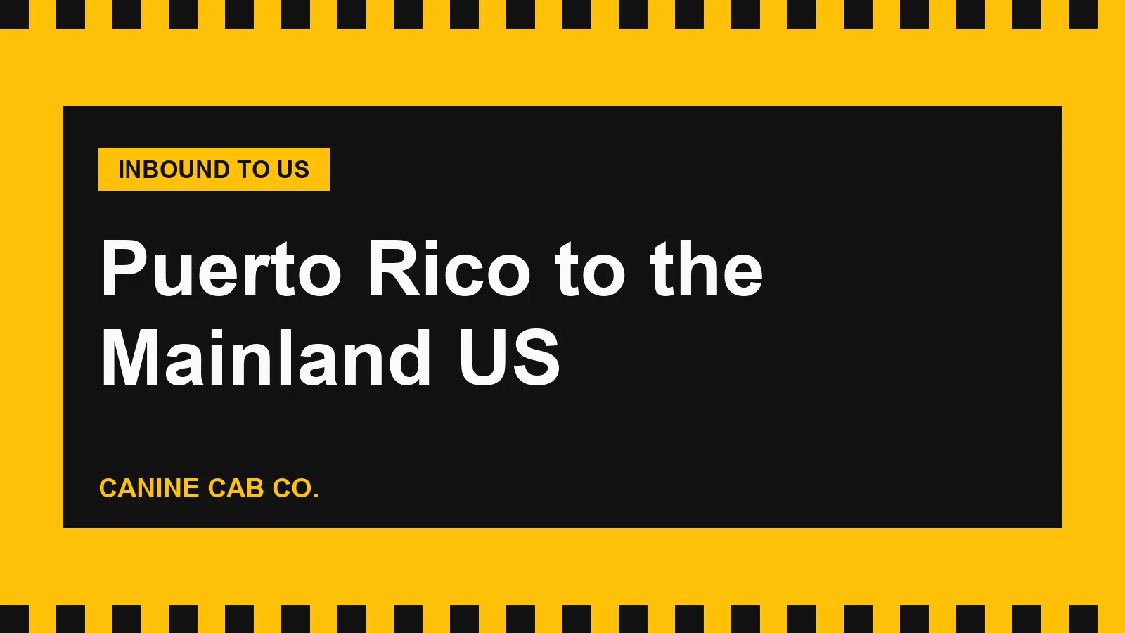Pet Transport From Puerto Rico to the Mainland US: Rules, Airlines and Heat
