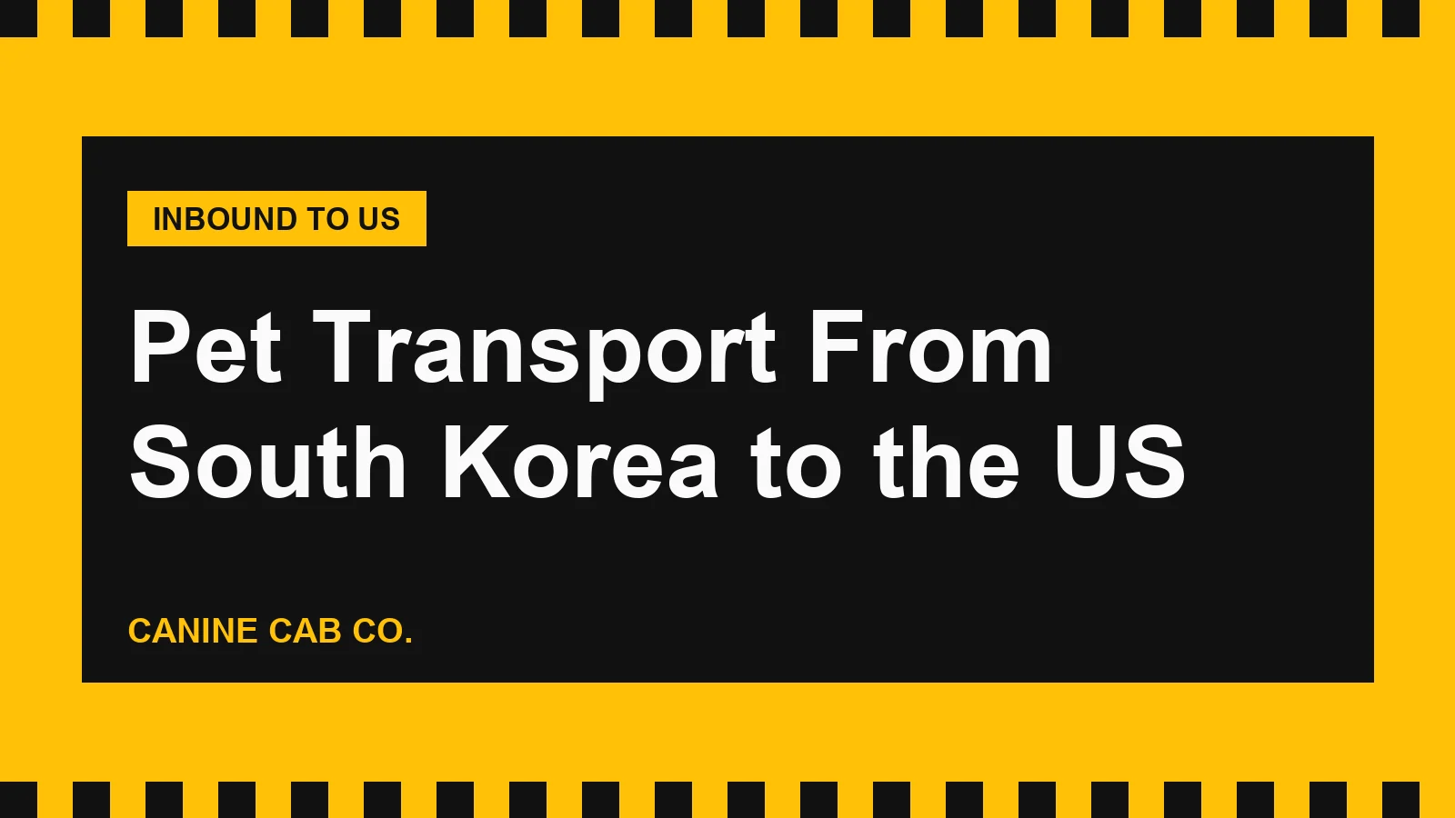 Pet Transport From South Korea to the US: APQA Export, Korean Air and Rescue Dogs
