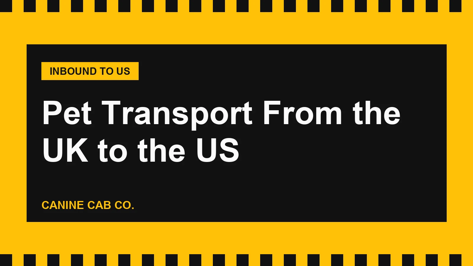 Pet Transport From the UK to the US: Cargo Rules and the Via-Europe Workaround