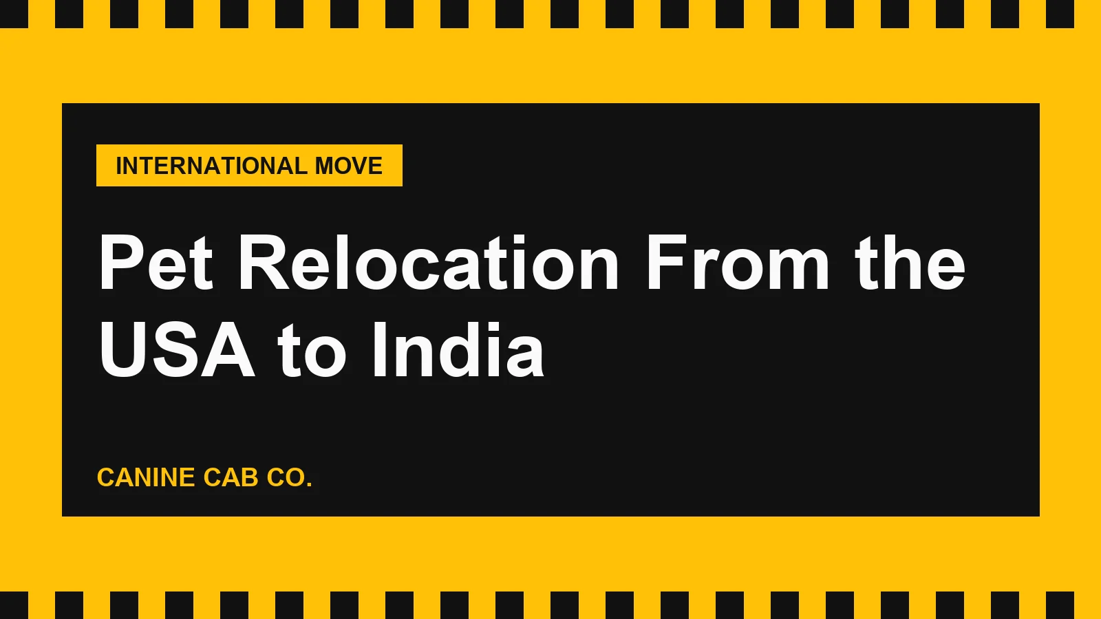 Pet Relocation From the USA to India: AQCS NOC, Eligibility Rules, Airports and Costs