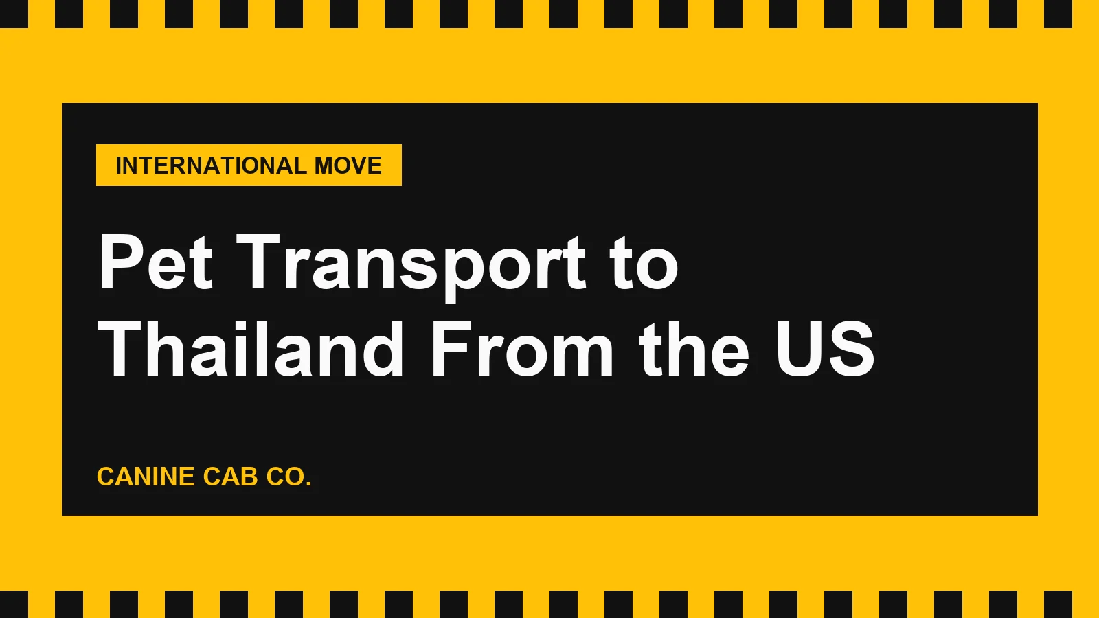 Pet Transport to Thailand From the US: Import Permit, Vaccines, Airports and the Trip Home