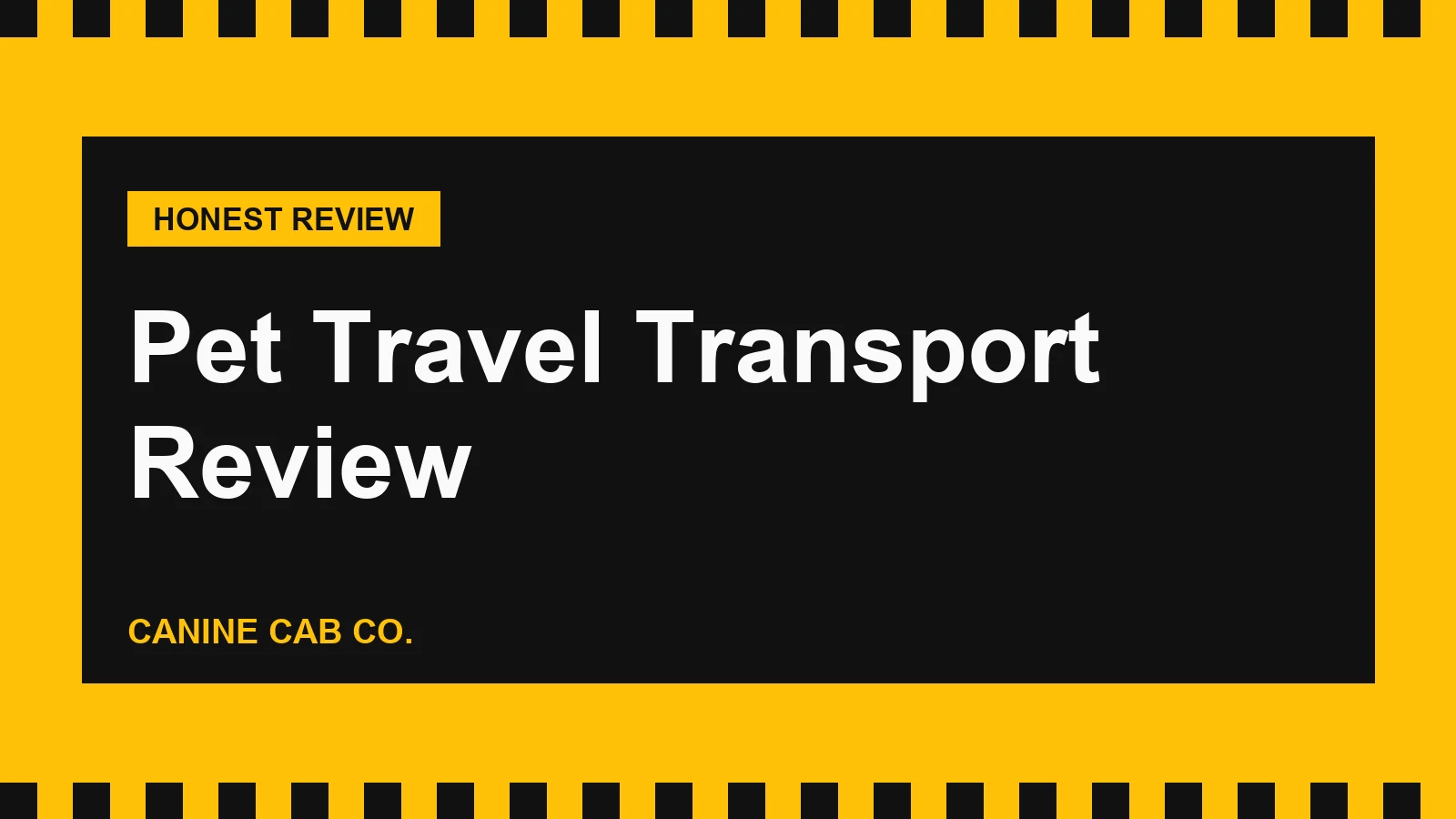 Pet Travel Transport Reviews: Ground and International Pet Moves From Florida