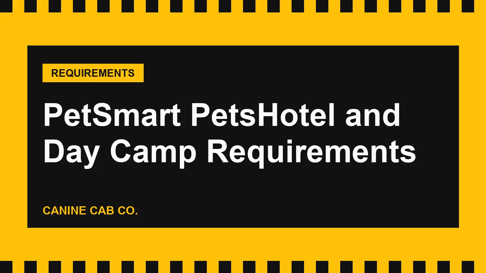 PetSmart PetsHotel and Doggie Day Camp Requirements: Vaccines, Rules and Prices