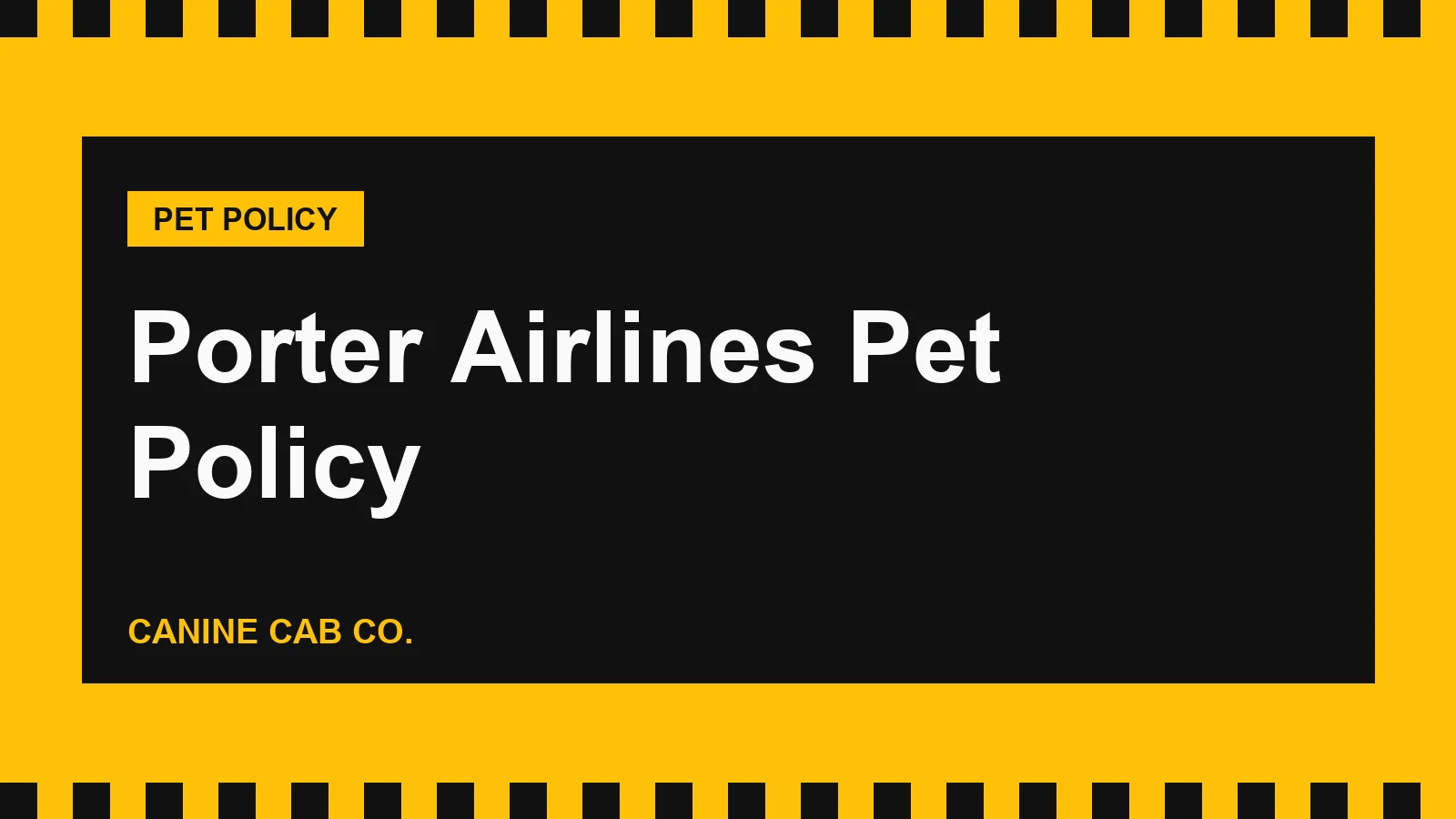 Porter Airlines Pet Policy: Cabin Rules, Carrier Size and Fees (2026)