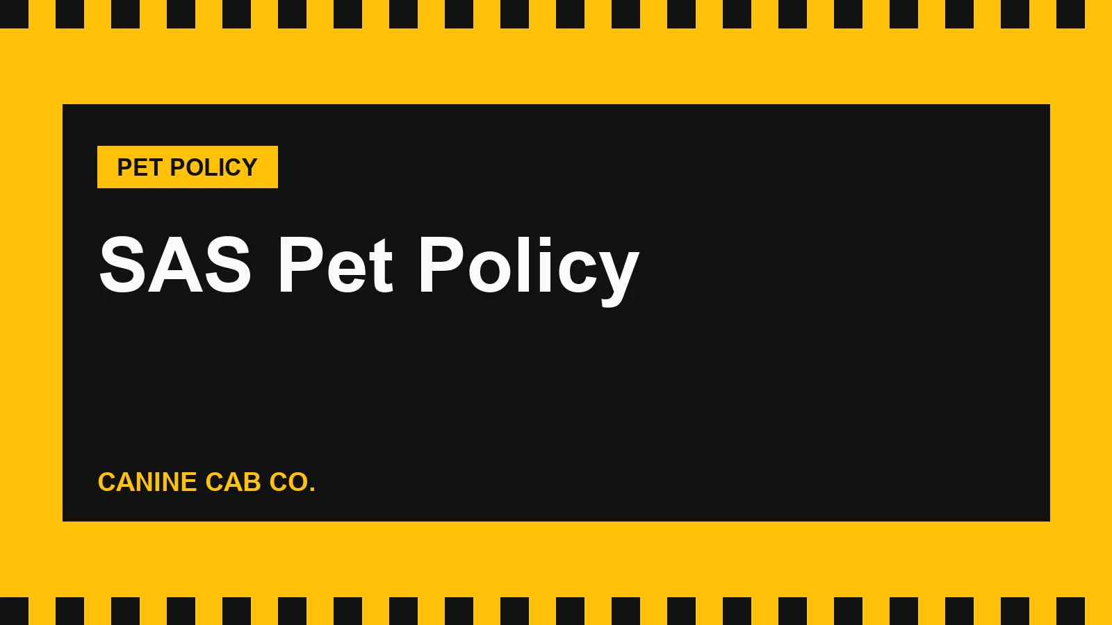 SAS Pet Policy: Cabin and Hold Fees, Size Limits and US Dog Rules (2026)