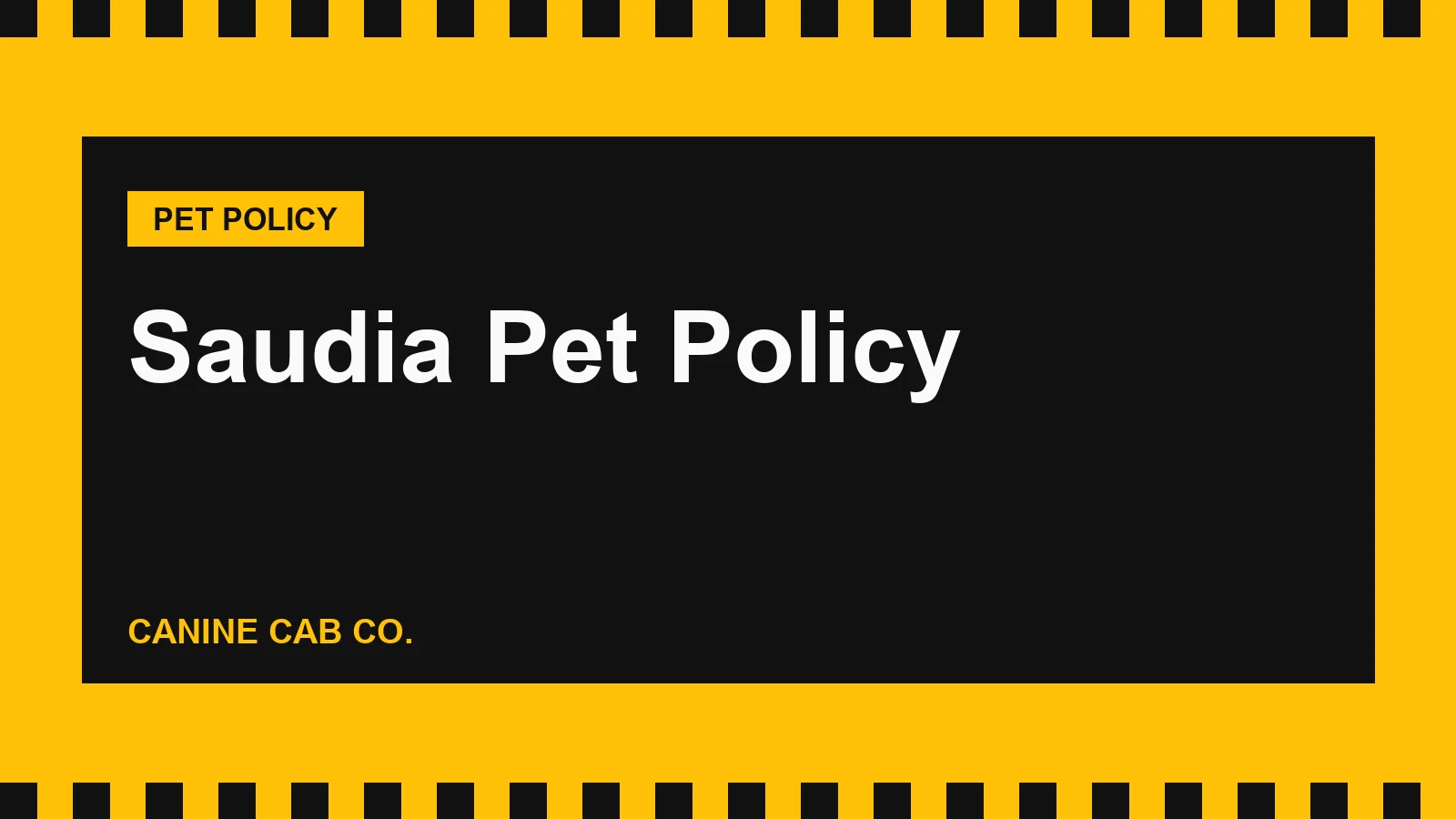 Saudia Pet Policy: Cats in the Cabin, Dogs in the Hold, Falcons and Fees (2026)