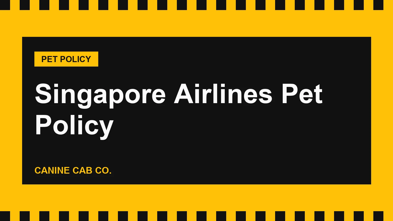 Singapore Airlines Pet Policy: Checked Pets, Banned Breeds and US Routes (2026)