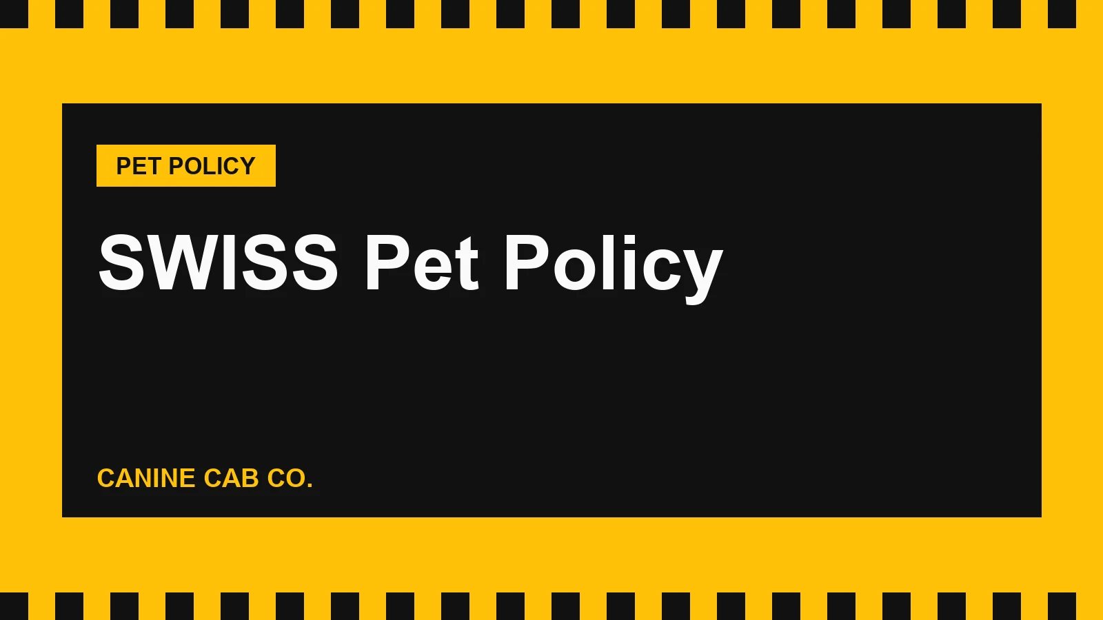 SWISS Pet Policy: Cabin and Hold Rules, Fees and US Airports (2026)