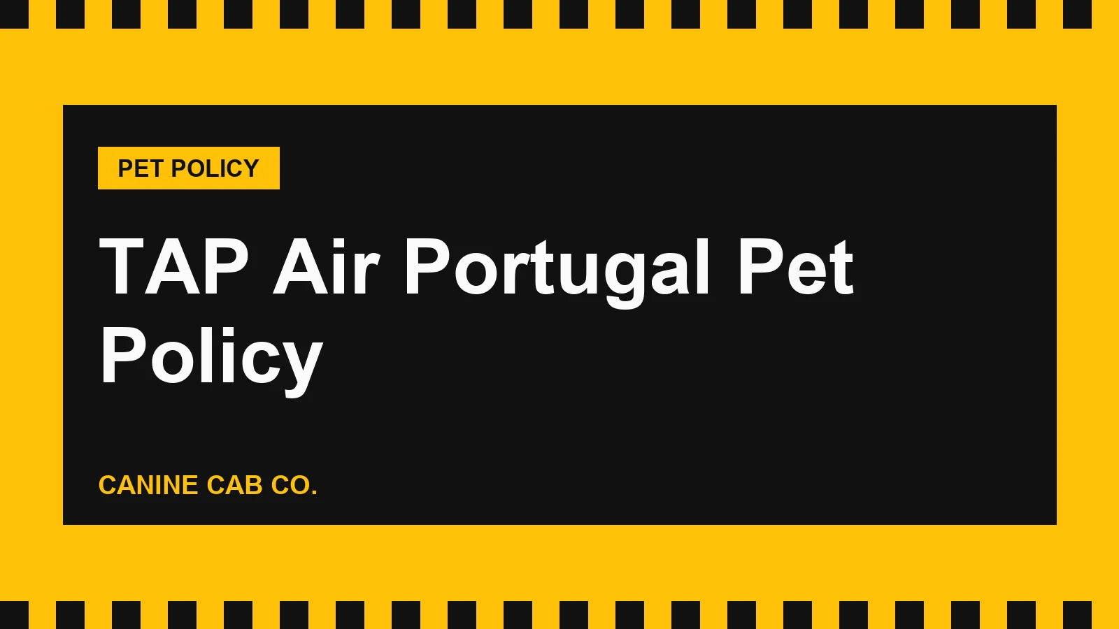 TAP Air Portugal Pet Policy: Cabin and Hold Fees, Limits and Banned Breeds (2026)