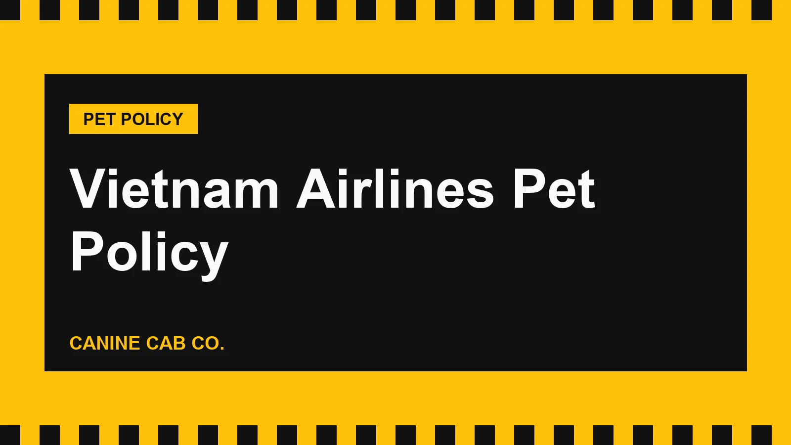 Vietnam Airlines Pet Policy: Cabin, Checked Pets, Fees and the US Dog Ban (2026)
