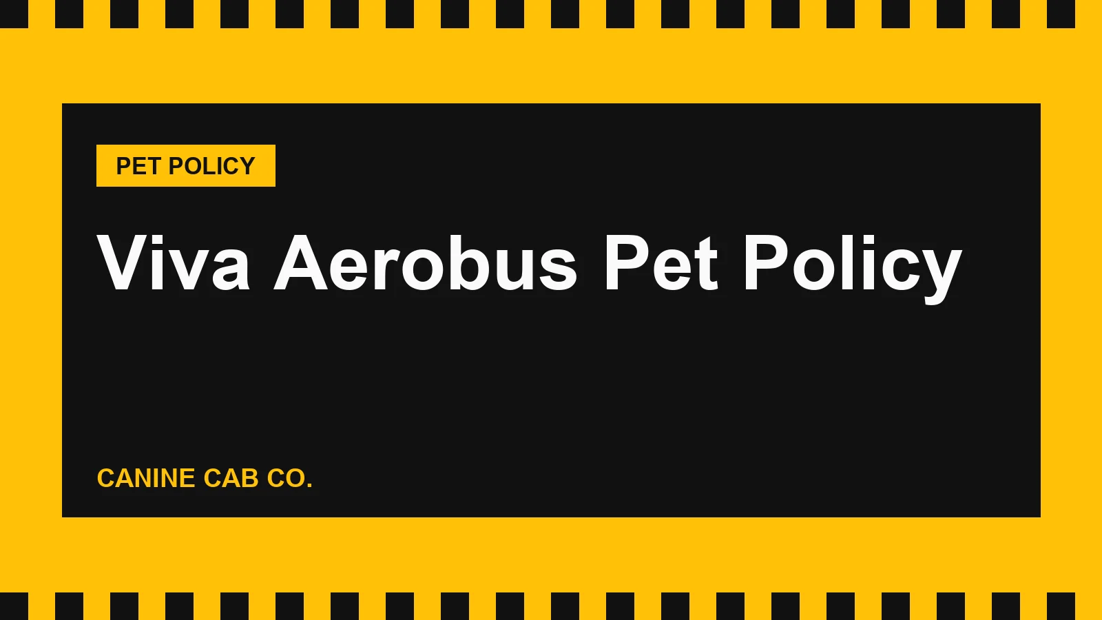 Viva Aerobus Pet Policy: Cabin, Dogs in the Hold, Fees and US Rules (2026)