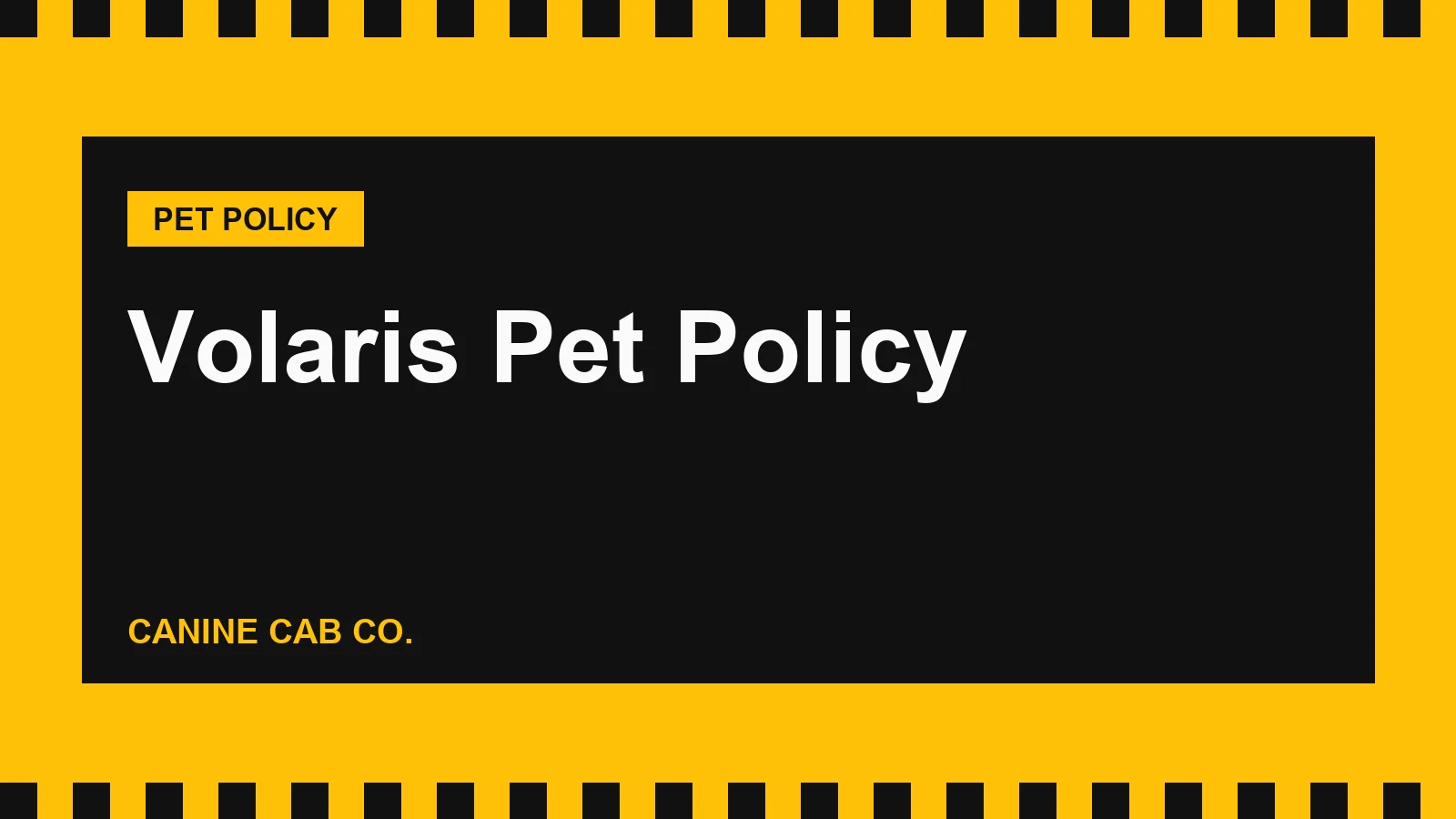 Volaris Pet Policy: Cabin and Checked Rules, Fees, Banned Breeds and US to Mexico Papers